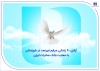 آزادی ۲۰ زندانی جرایم غیرعمد در خوزستان با حمایت بانک صادرات ایران